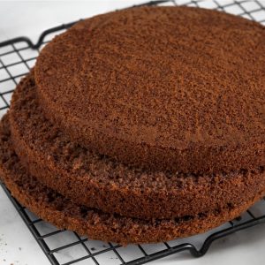 Chocolate "Genoise" Sponge Cake